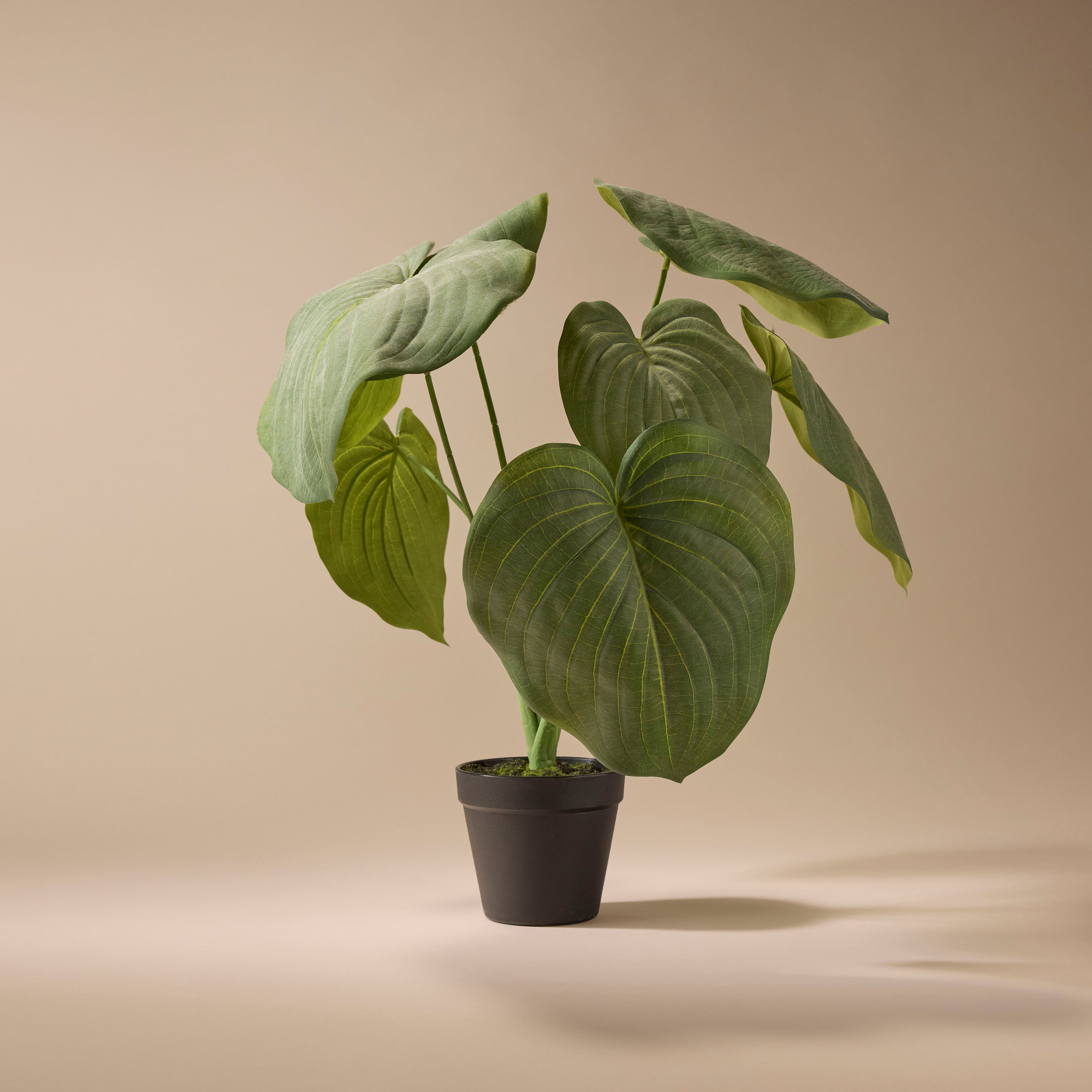 Faux Hosta Plant - Garden Pot | 55cm