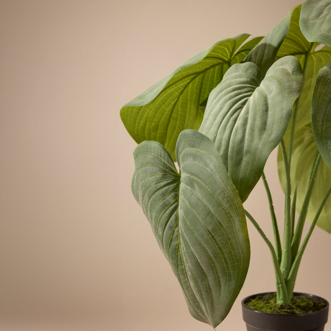 Faux Hosta Plant - Garden Pot | 55cm