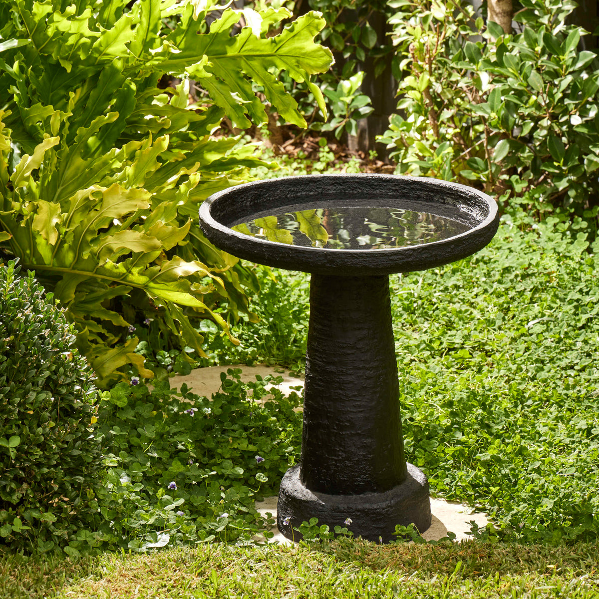 Rogue Ryker Bird Bath Black
