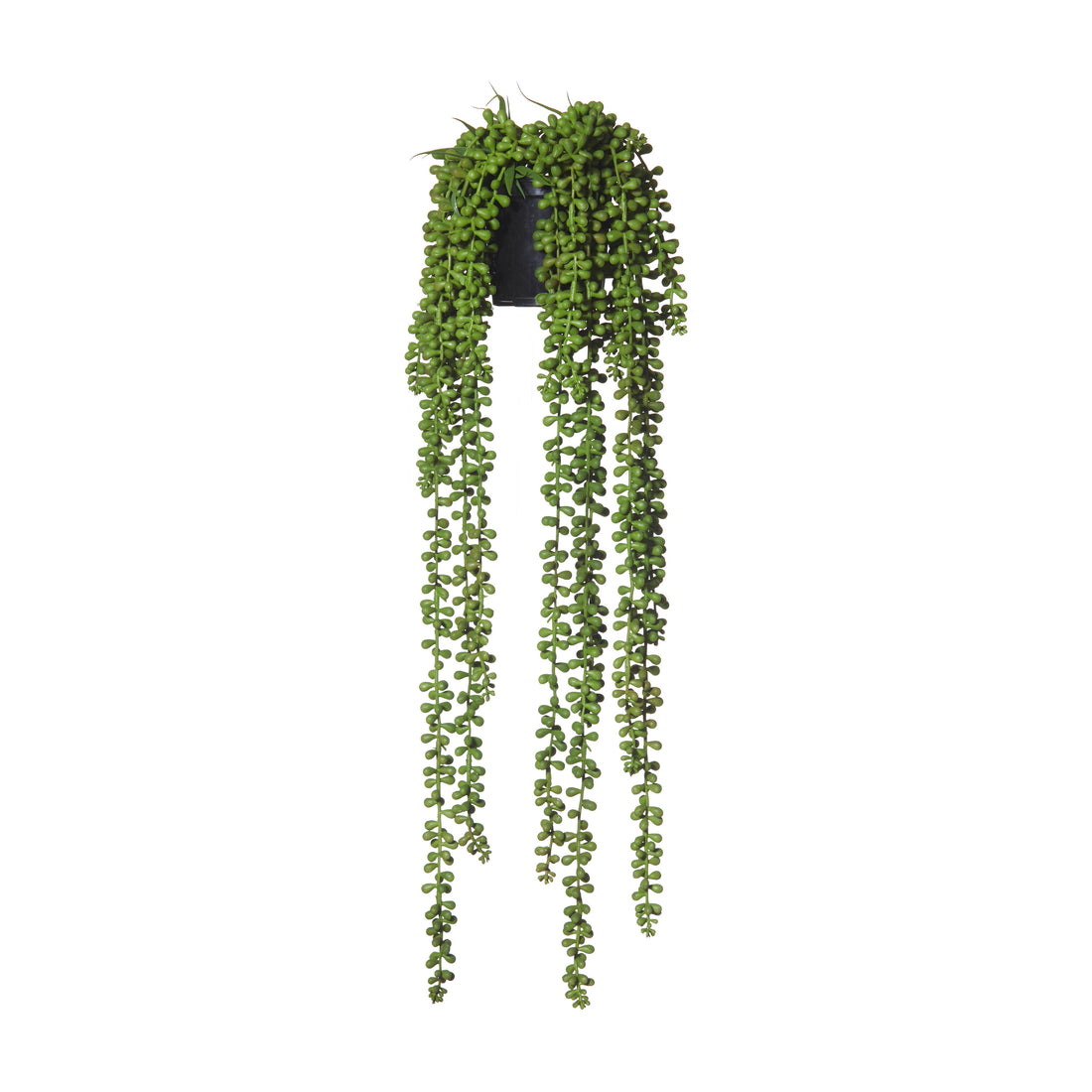 Rogue Hanging Pearls - Garden Pot Green