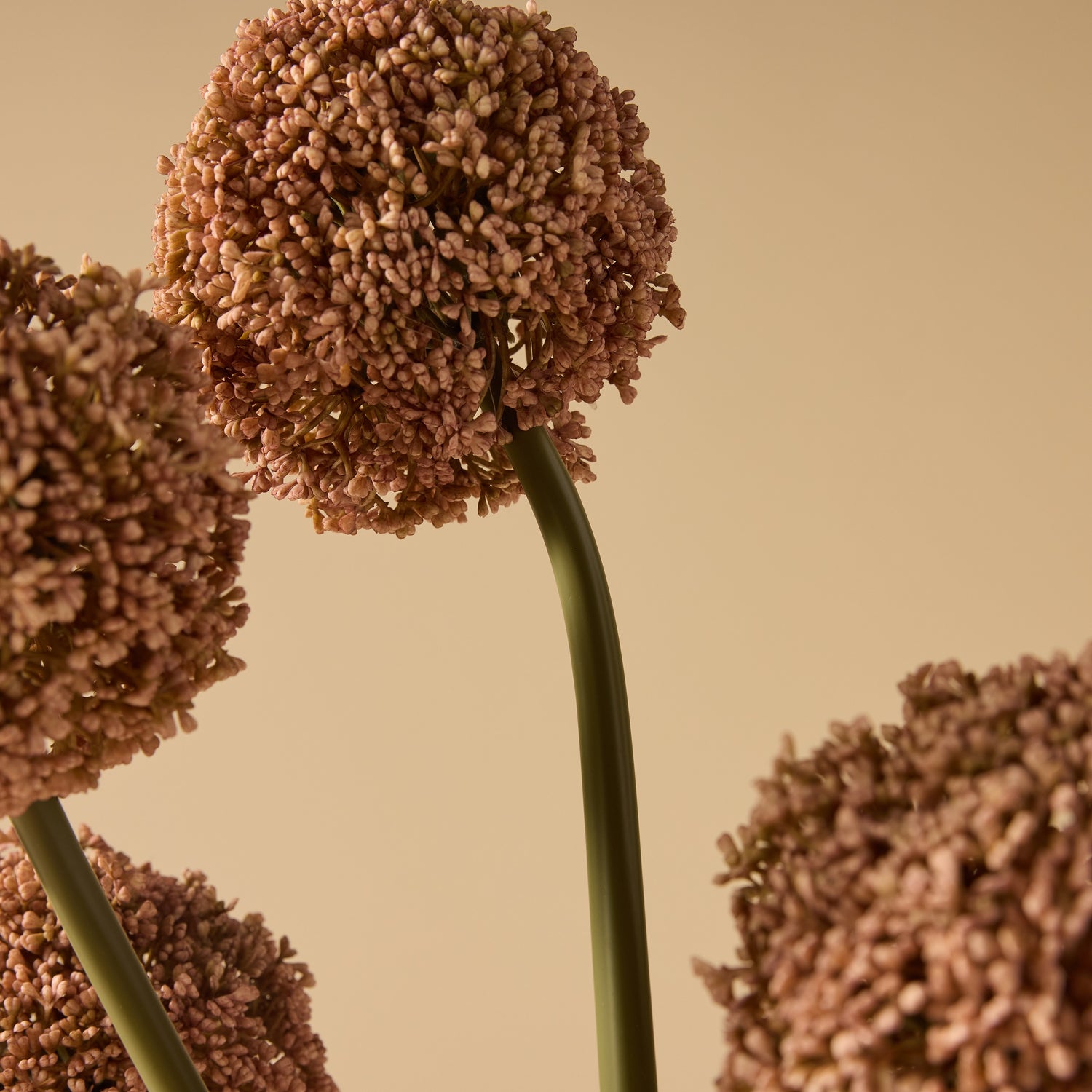 Faux Allium Stem | Pink -  76cm