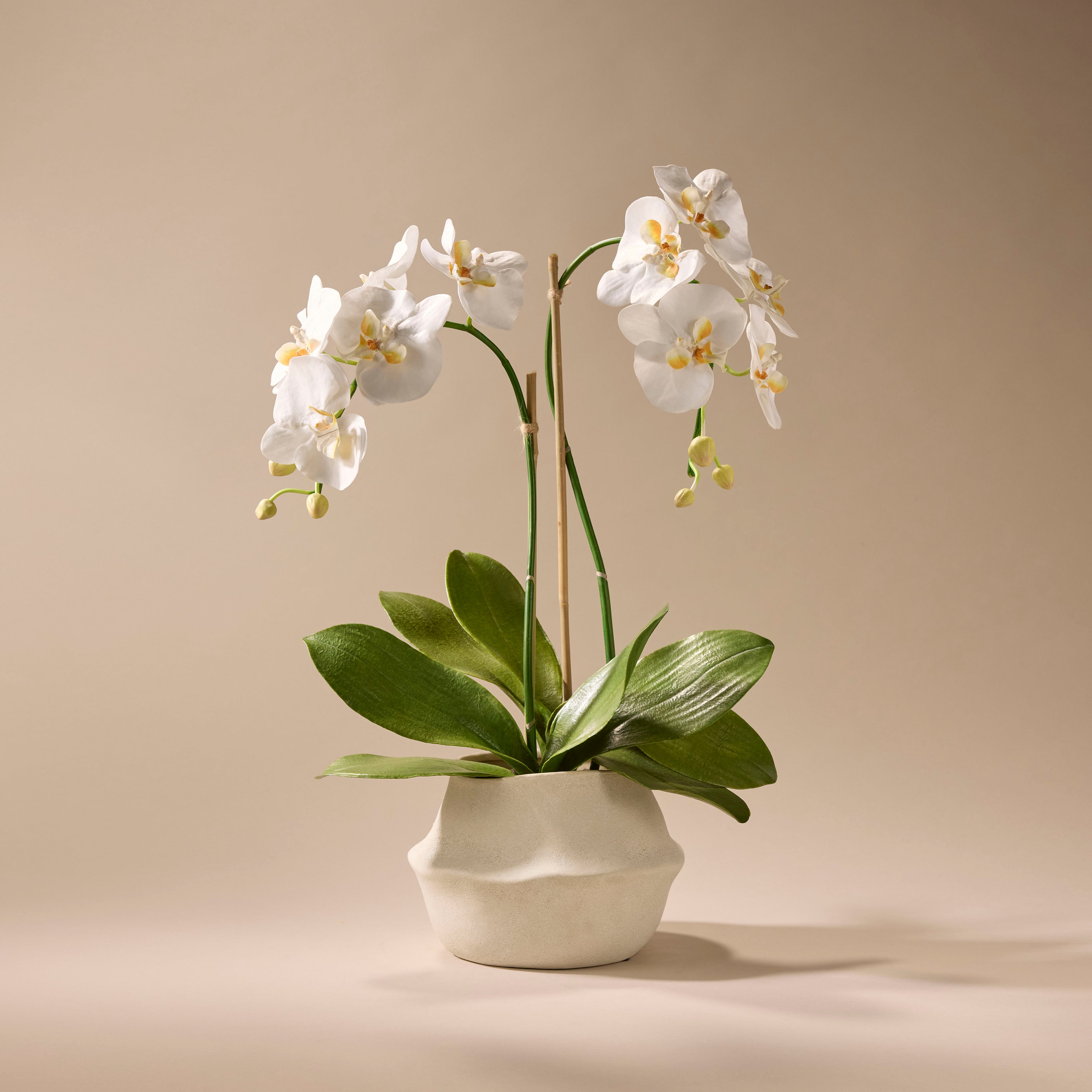 Faux Phalaenopsis Orchid Plant - Maliah Pot | White - 67cm