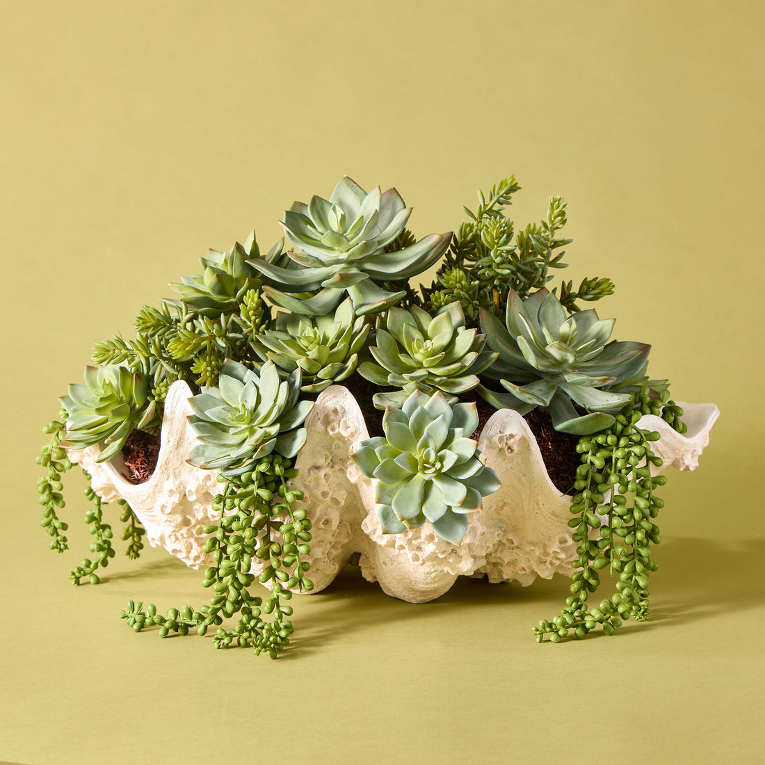 Faux Succulent Mix - Seychelles Clam Vessel | 52cm