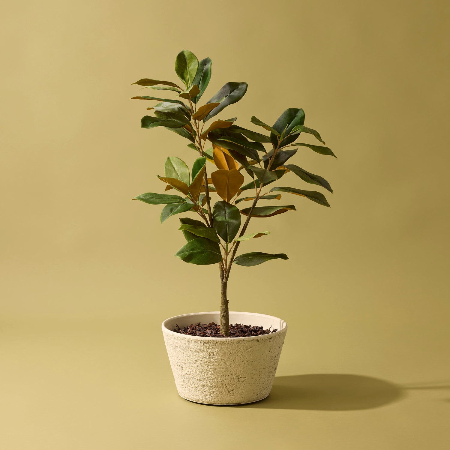 Faux Magnolia Tree - Rustic Stone Look Pot | 90cm