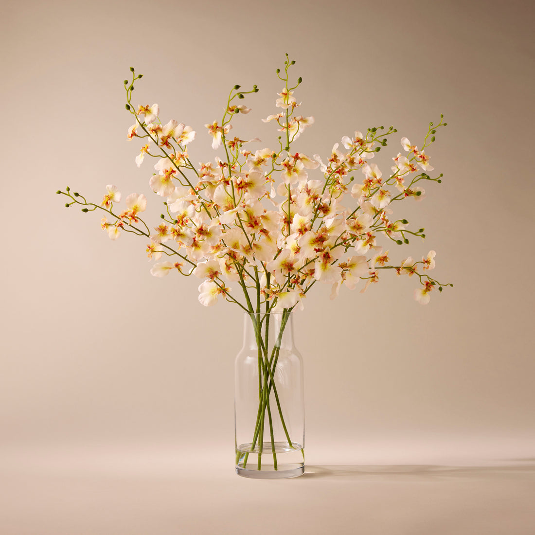 Faux Dancing Orchids -  Rachel Vase | Cream - 57cm