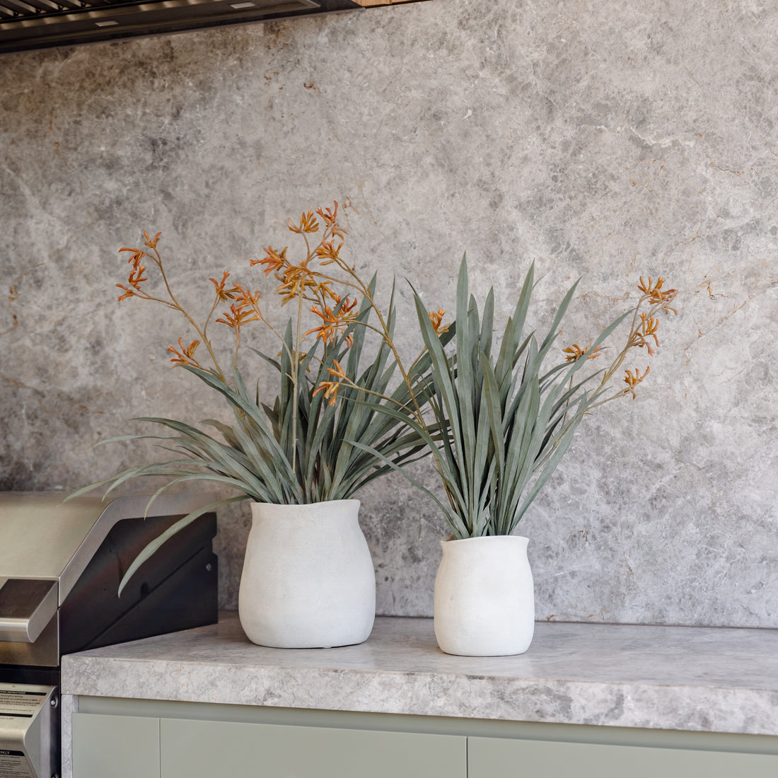 Faux Kangaroo Paw - Maliah Pot | Cream - 72cm
