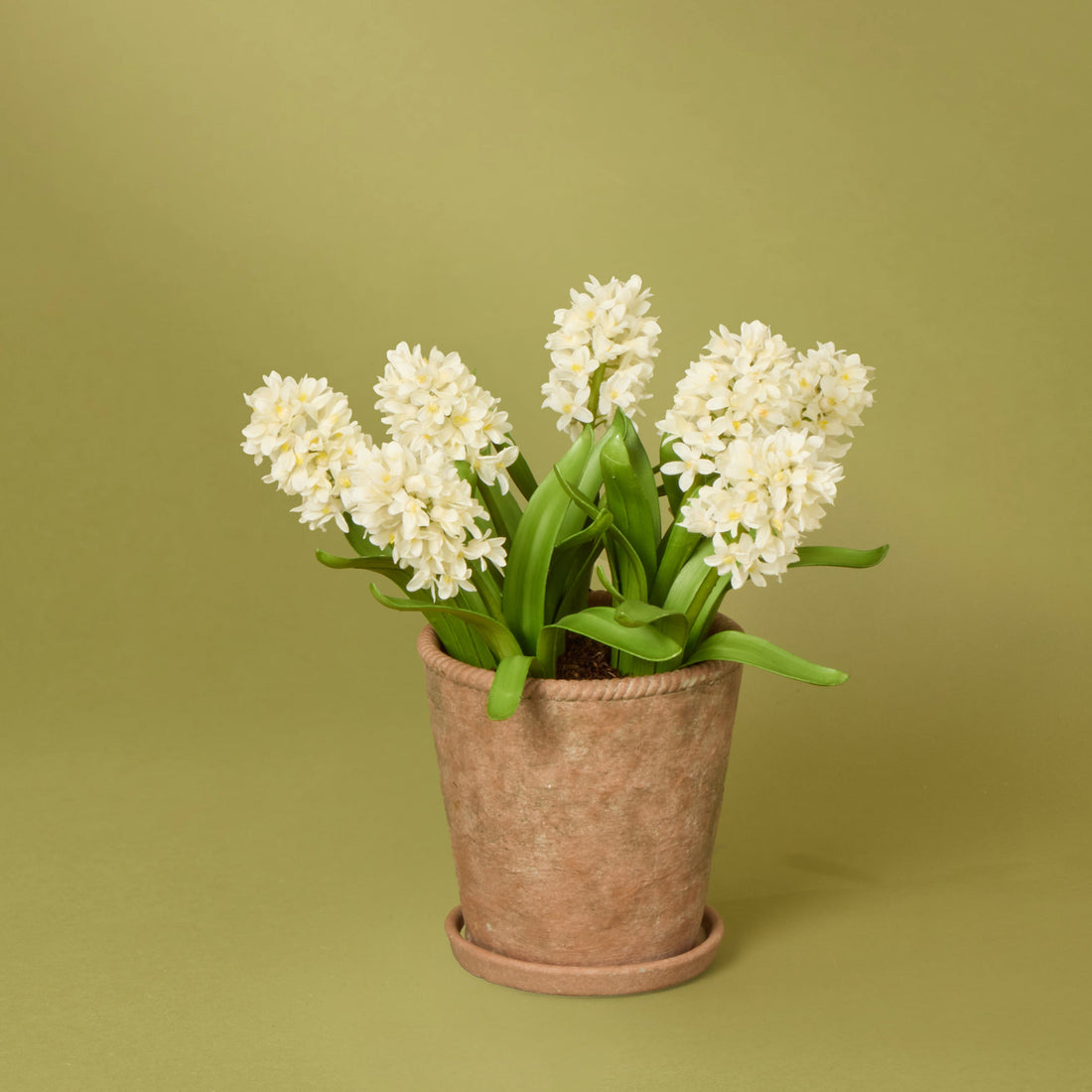 Faux Hyacinth Plant – Chinon Pot | 47cm