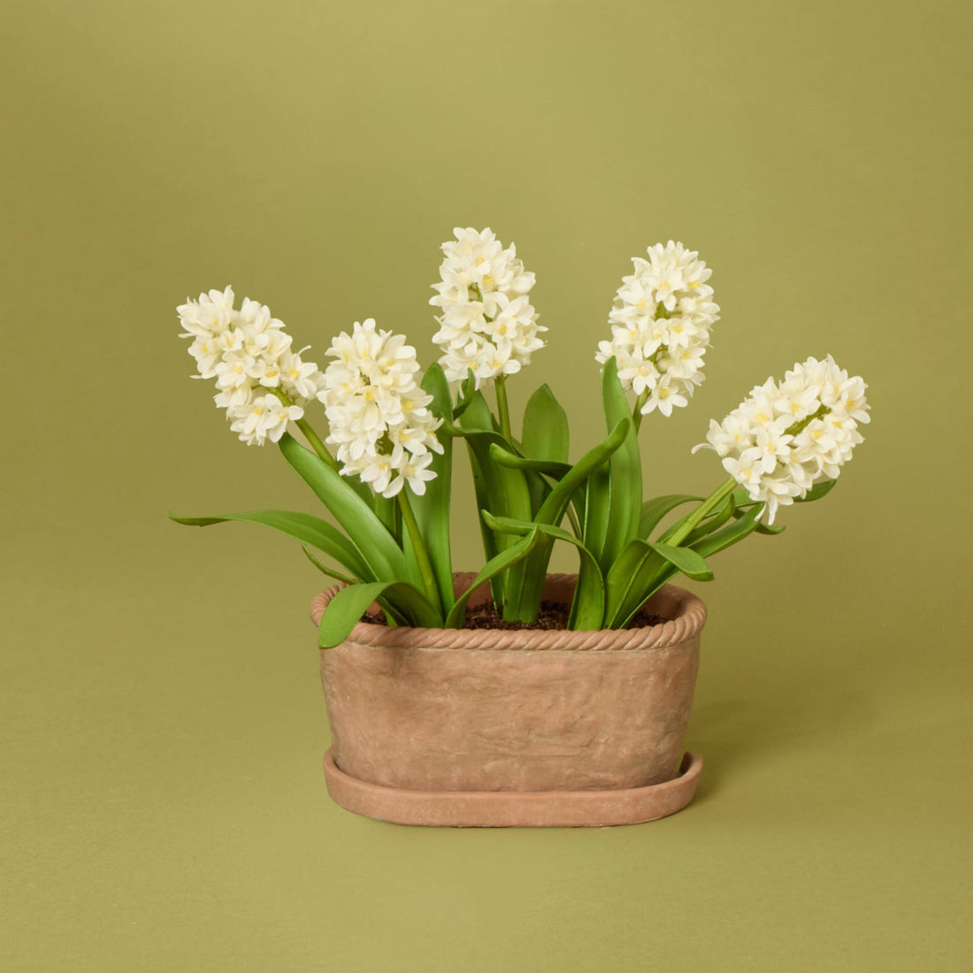 Faux Hyacinth Plant – Chinon Oval Pot | 45cm