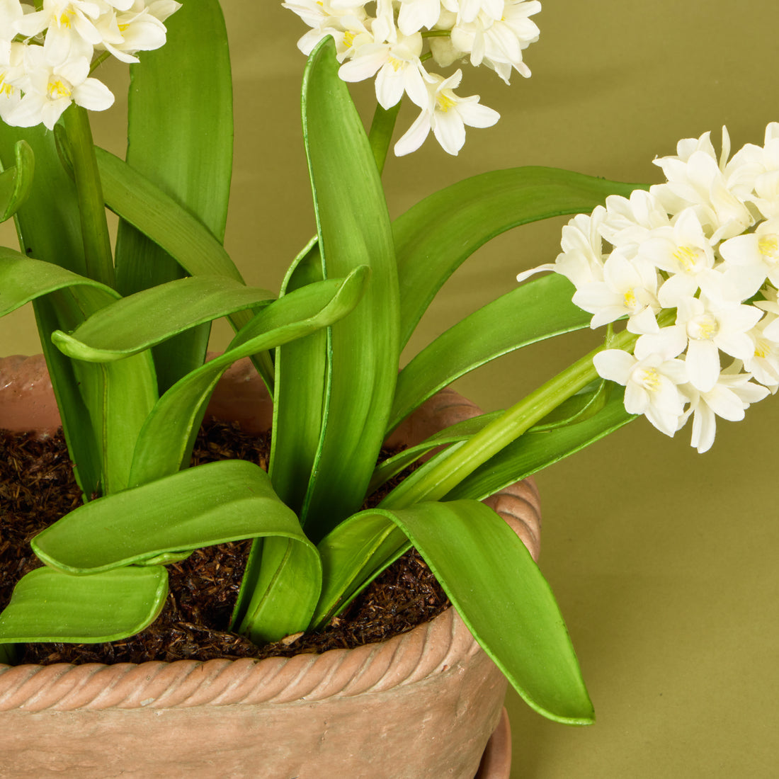 Faux Hyacinth Plant – Chinon Oval Pot | 45cm