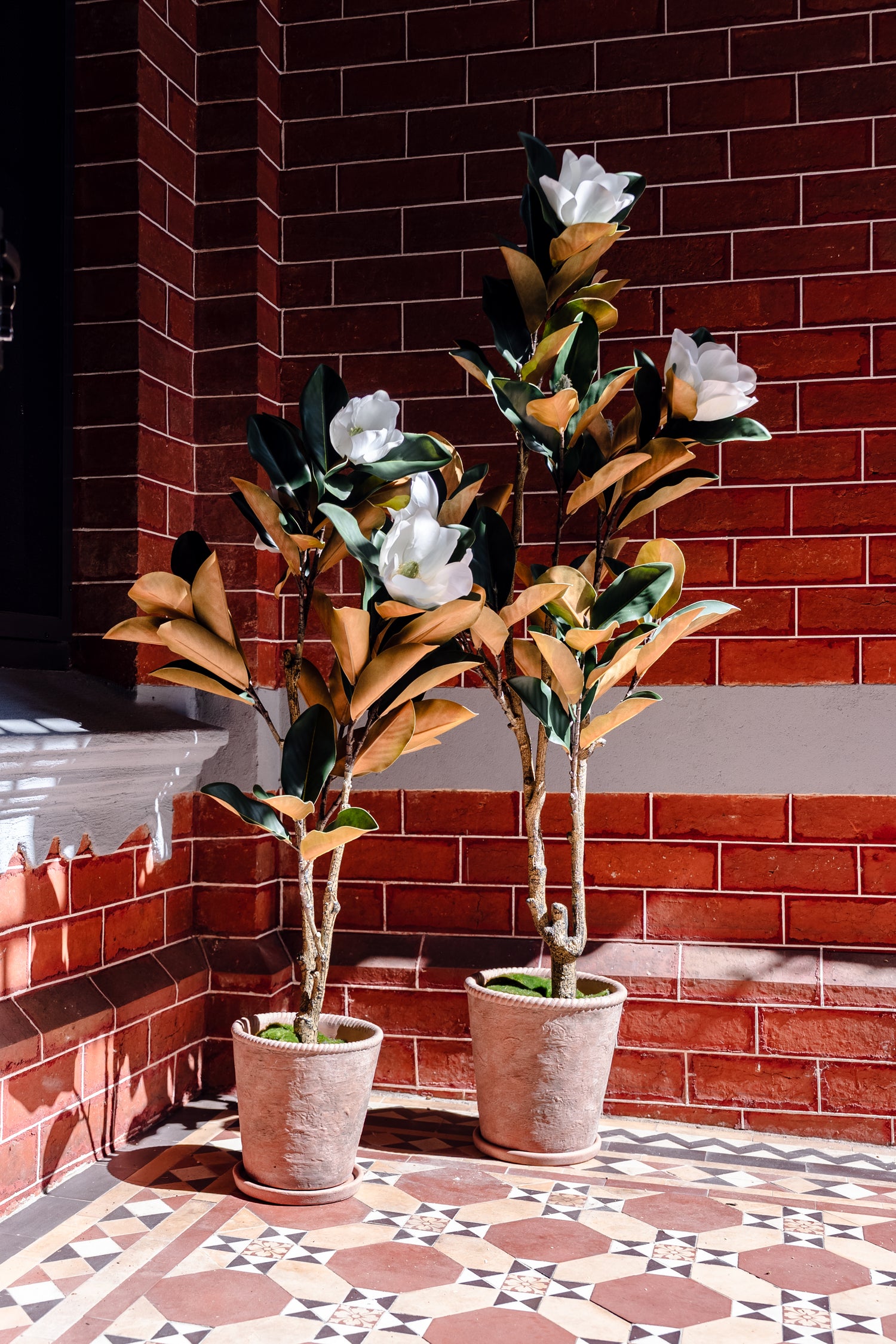 magnolia tree indoor plant Artificial Magnolia Tree | 115cm