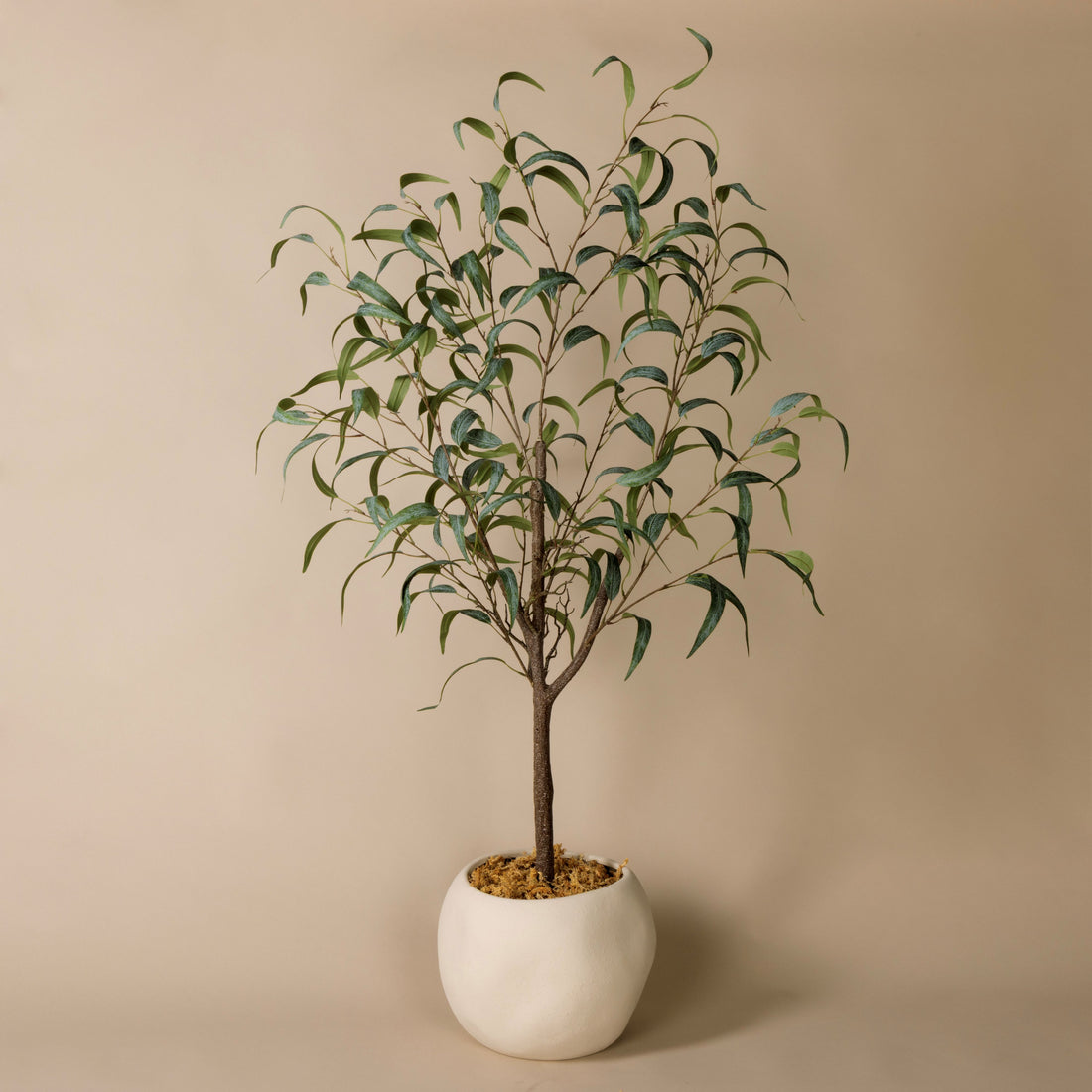 Eucalyptus Willow Tree - Lyon Planter | 127cm | Three Birds Set