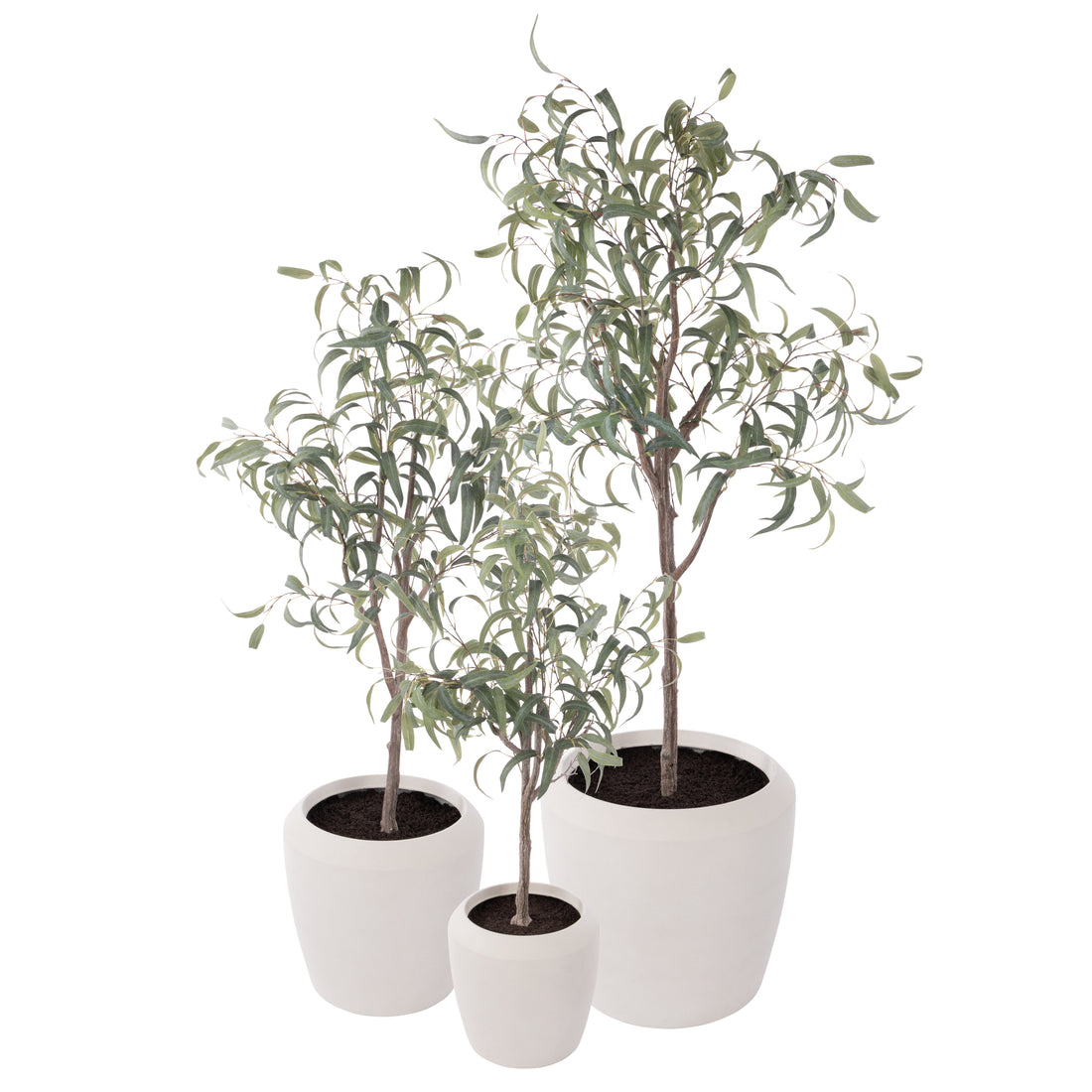 Rogue Eucalyptus Tree - Vienna Planter