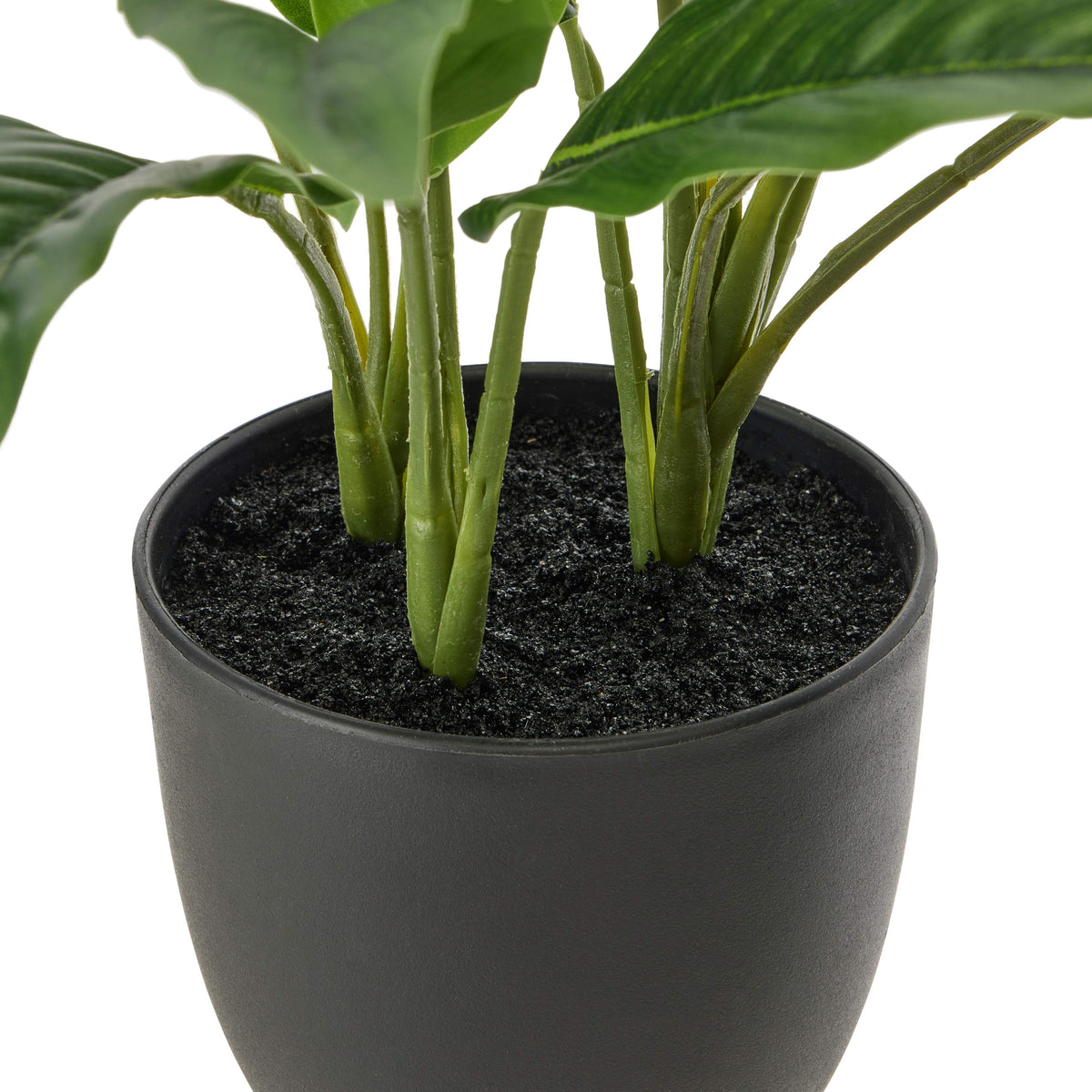 Rogue Sacred Lily Pot Green