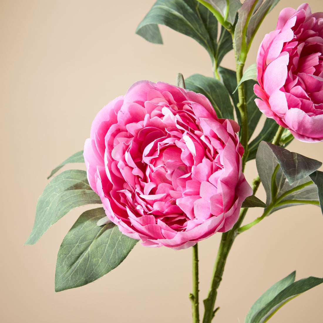 Faux Peony Stem UV Treated | Dark Pink - 90cm