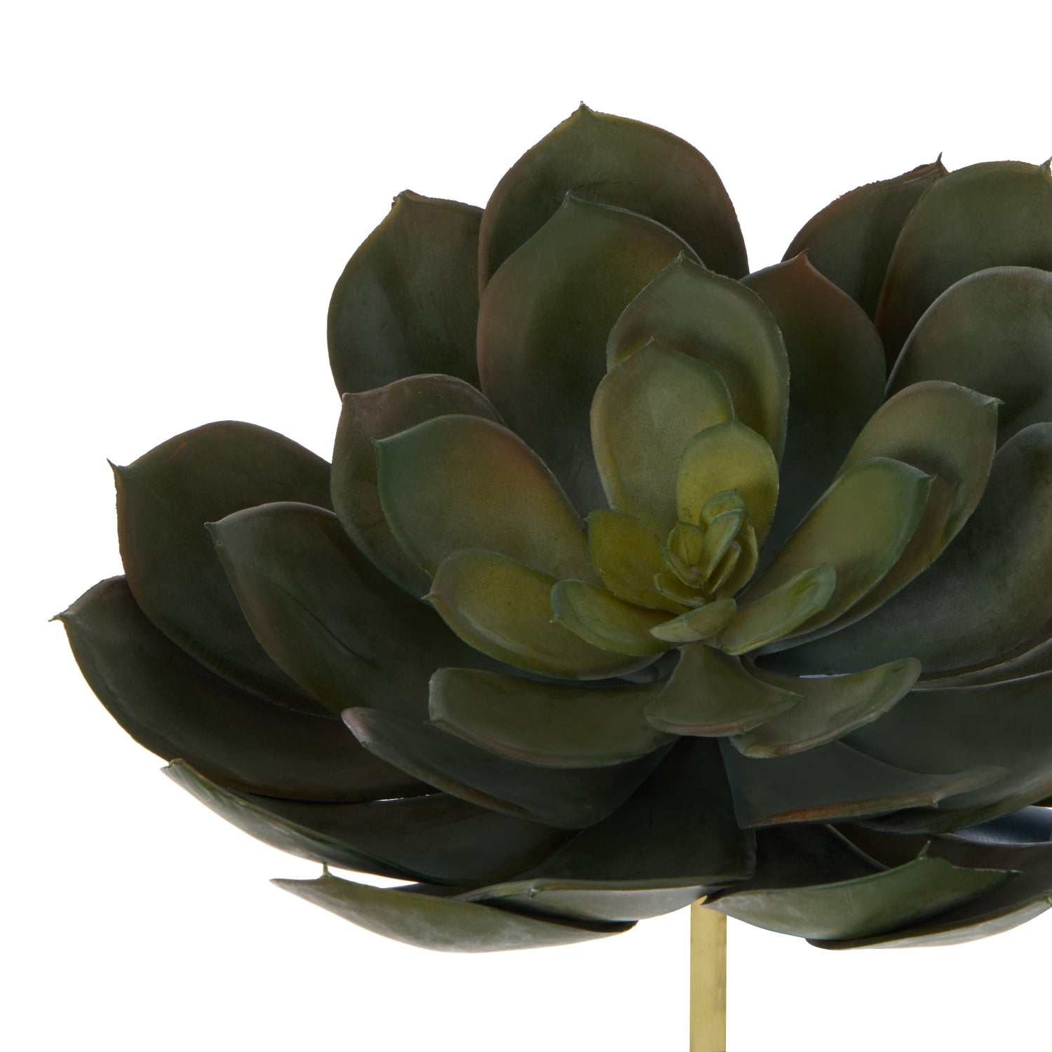 Faux Echeveria Succulent | Green - 18cm