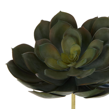 Faux Echeveria Succulent | Green - 18cm