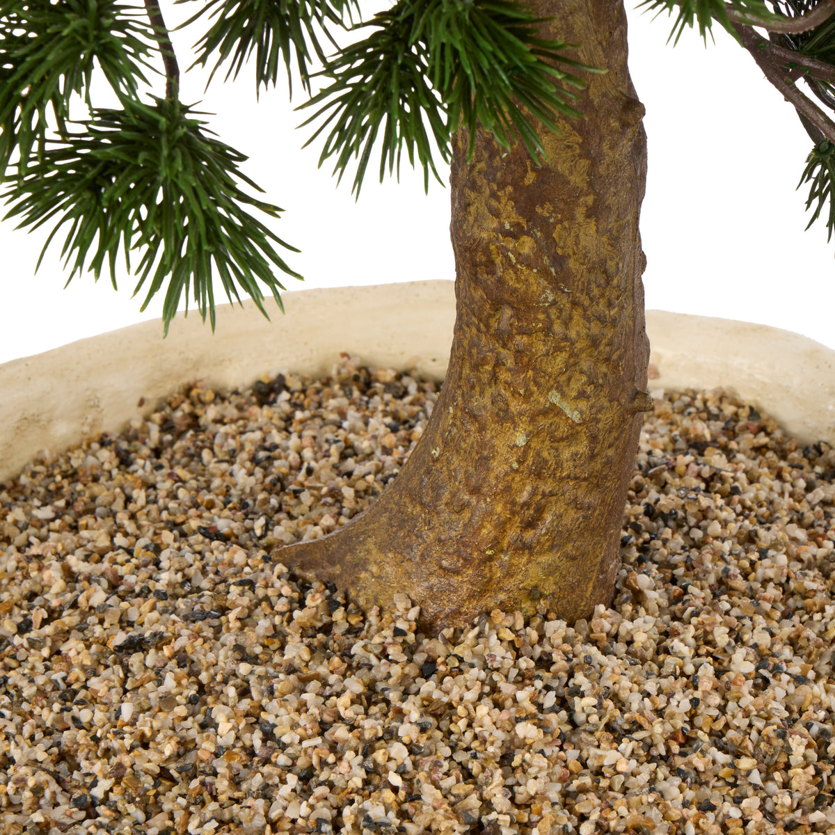 Rogue Pine Bonsai Small Textured Cement Pot Green