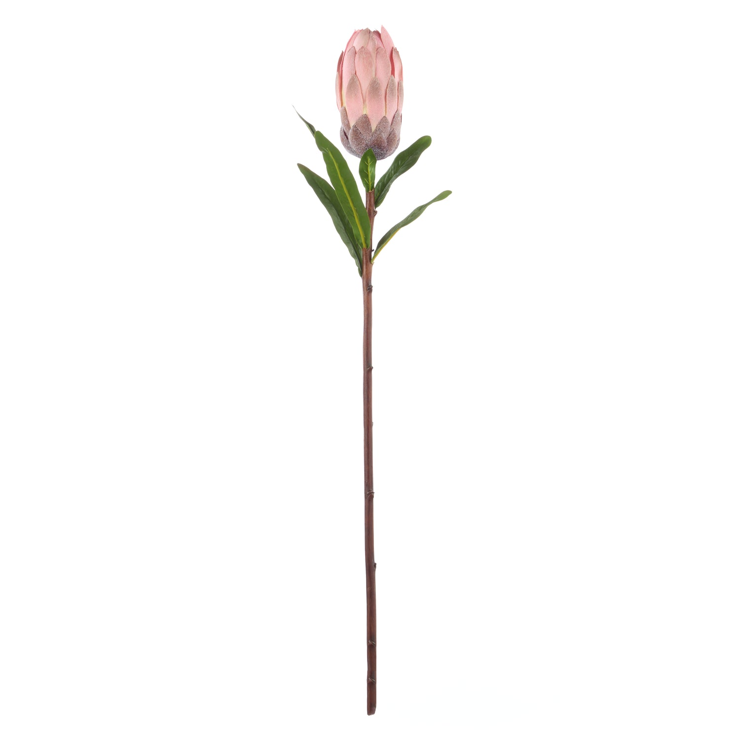 Faux Flocked Protea Stem | Pink -  61cm