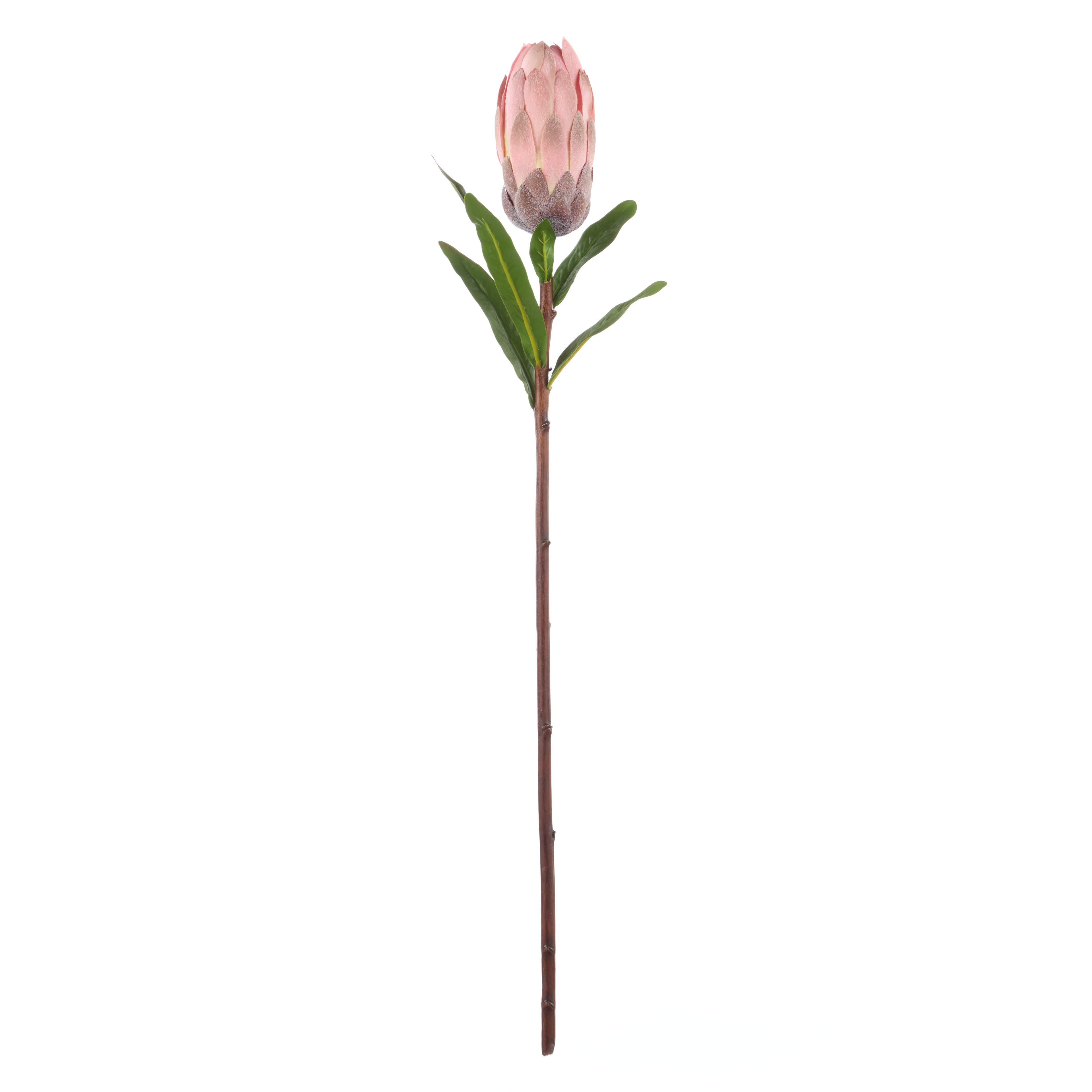 Faux Flocked Protea Stem | Pink -  61cm