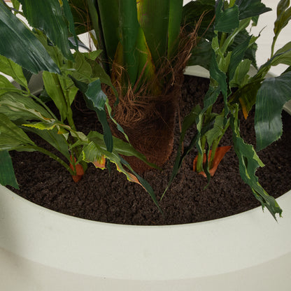 Rogue Caryota Palm Tree - Vienna Planter Green