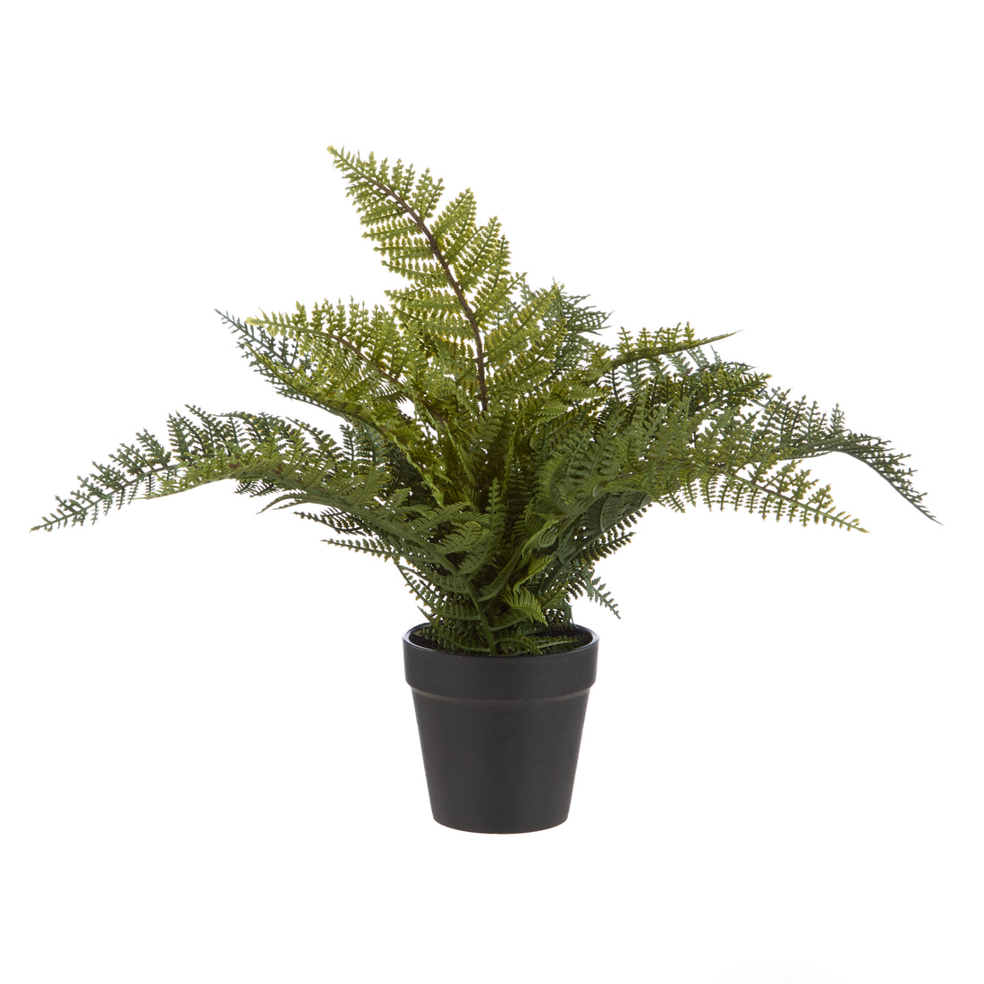 Faux Leatherleaf Fern - Garden Pot | 33cm