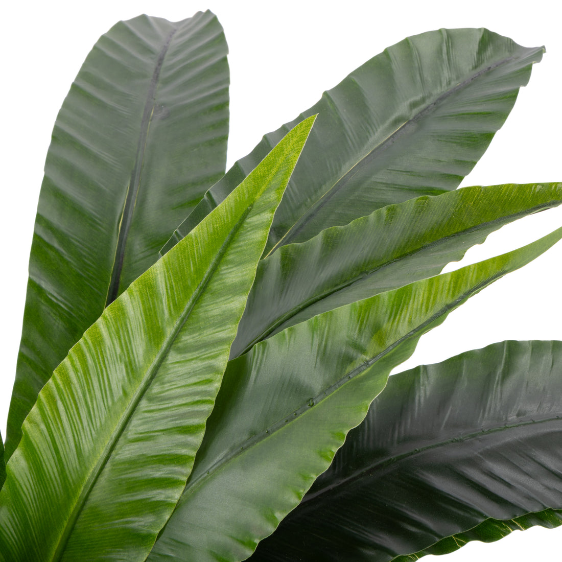 Faux Bird Nest Fern UV Treated - Garden Pot | 55cm