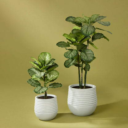 Faux Calathea Plant - Ryker Stonelite Planter | White - 113cm