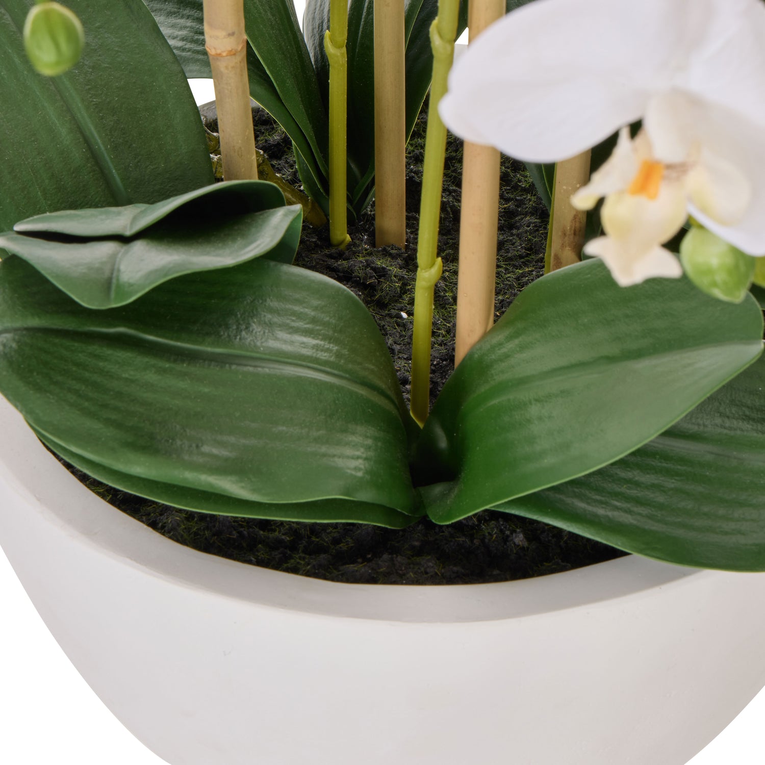 Faux Phalaenopsis Orchid Pot | White -  71cm