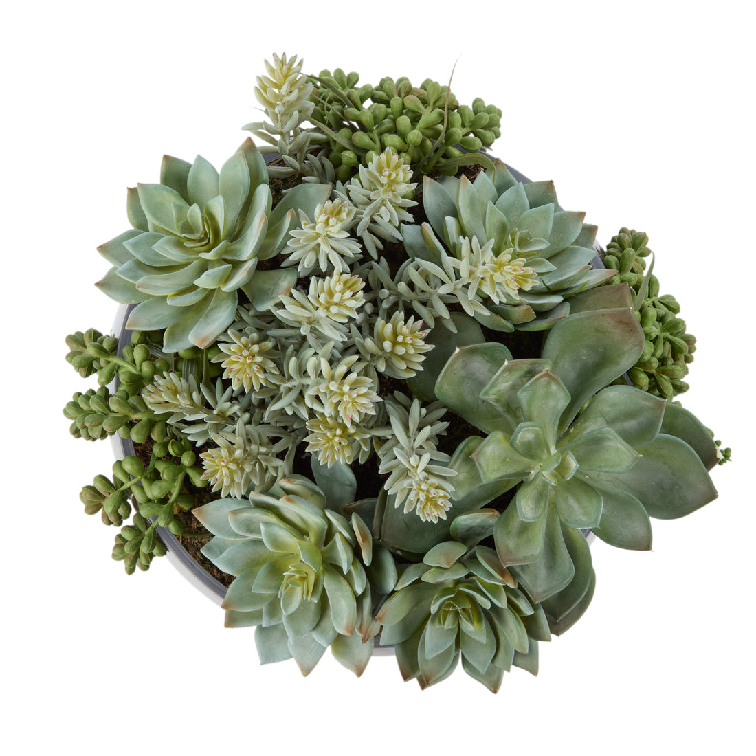 Faux Succulent Mix - Scarlett Bowl | 34cm