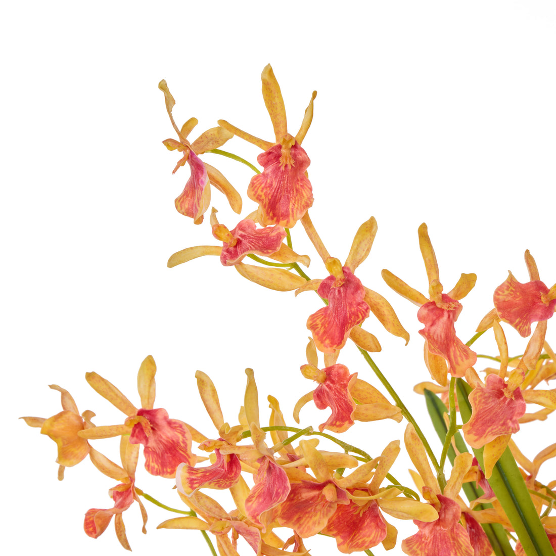 Faux Dendrobium Plant - Maliah Pot | Orange -  73cm