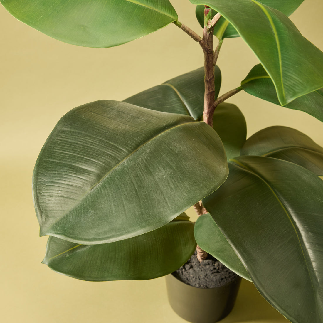 Faux Rubber Leaf Tree | 62cm