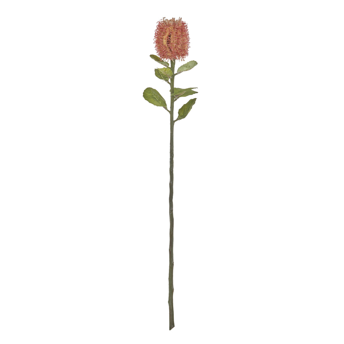 Faux Grand Banksia Stem | Orange - 60cm