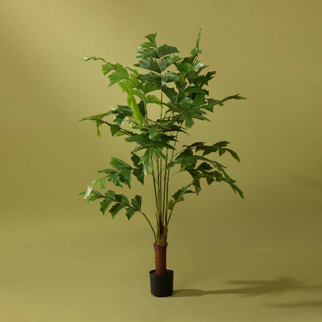 Faux Caryota Palm Tree - Garden Pot | 120cm