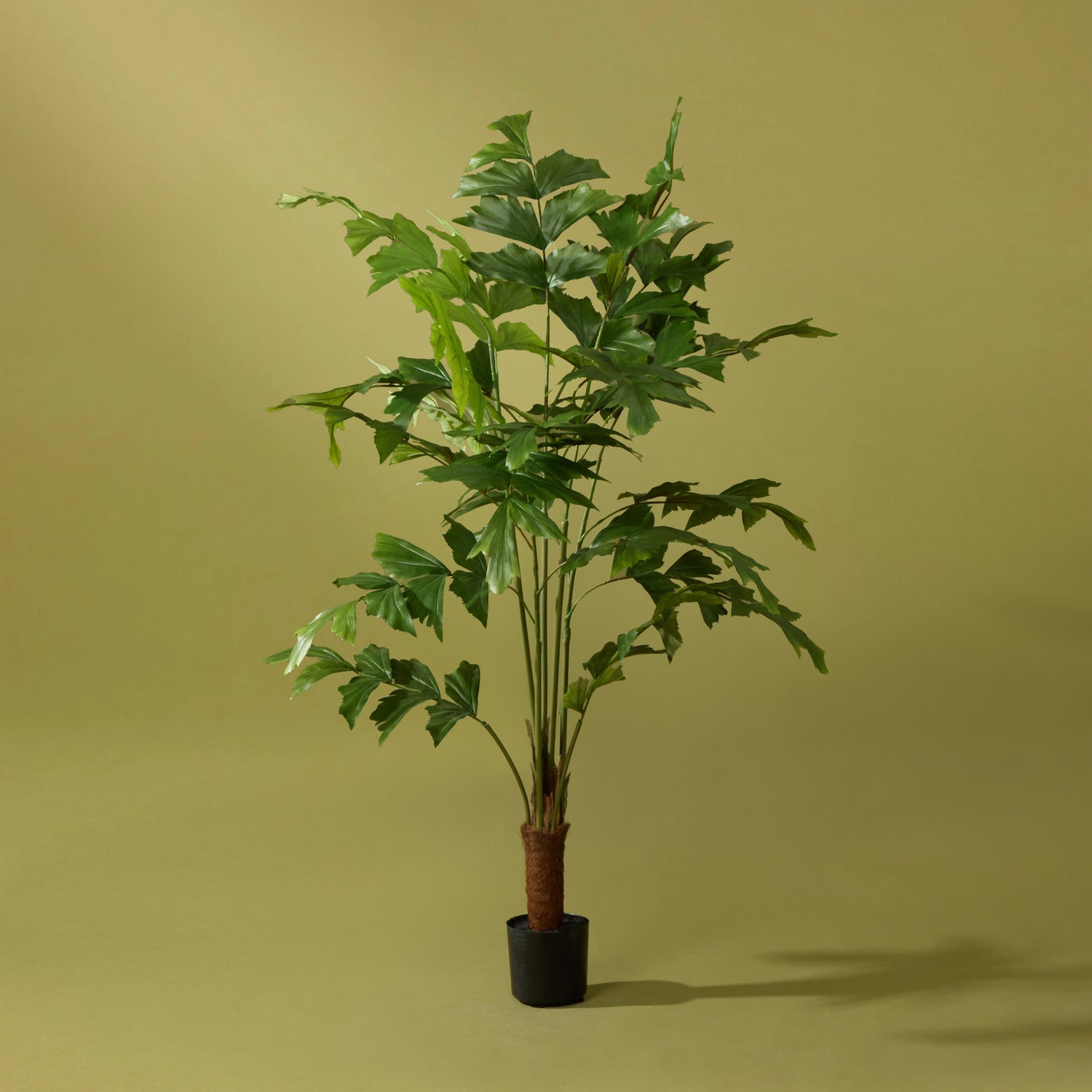 Faux Caryota Palm Tree - Garden Pot | 120cm