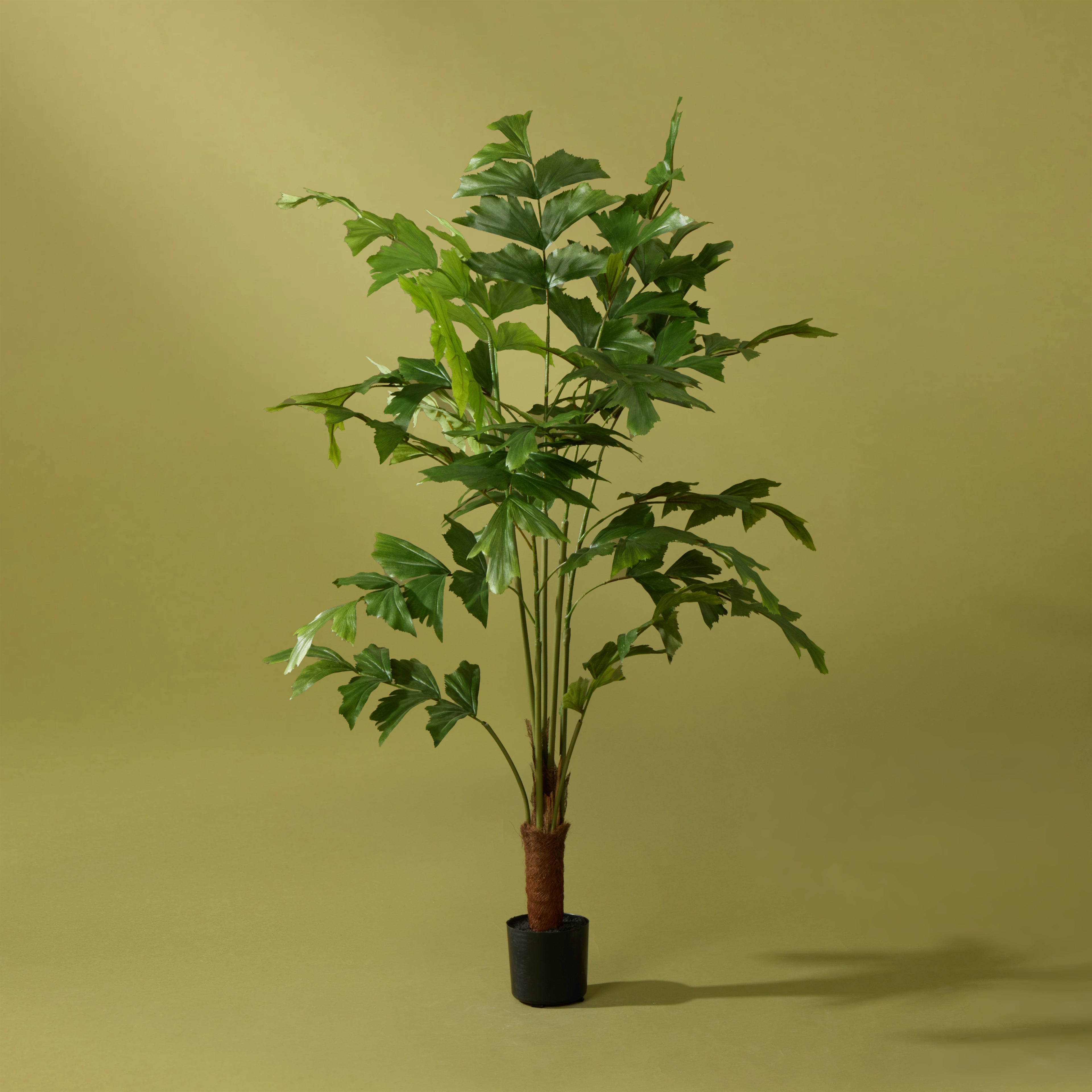Faux Caryota Palm Tree - Garden Pot | 120cm