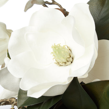 Faux Magnolia Grandiflora Arrangement - Claire Vase