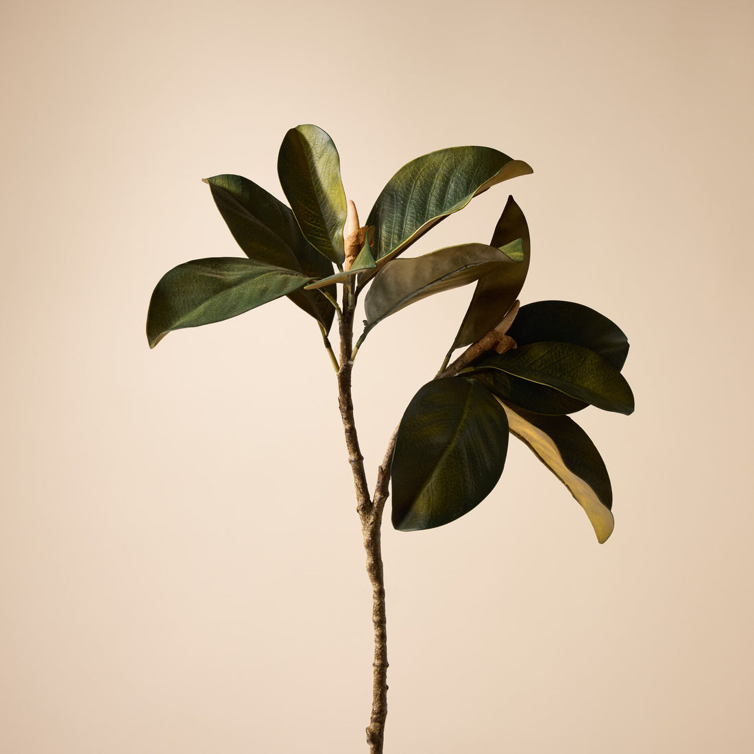 Faux Magnolia Foliage Stem | 64cm