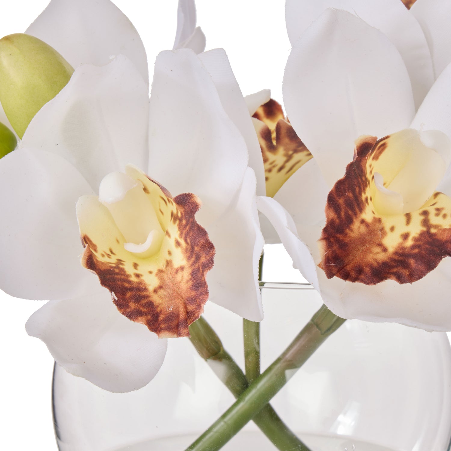 Faux Cymbidium - Glass Vase | White -  20cm