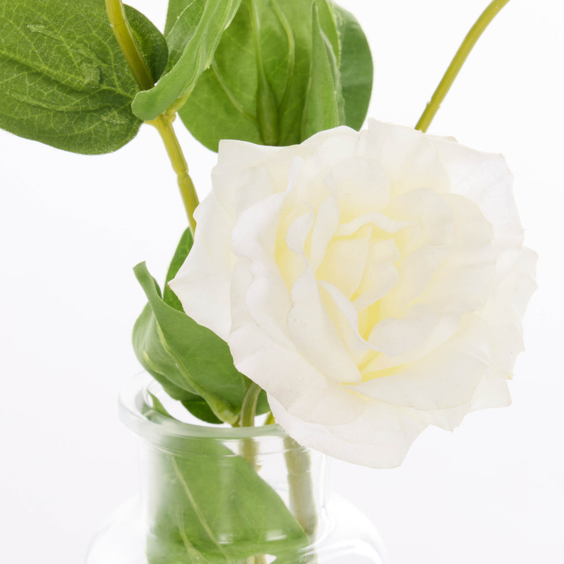 Rogue Lisanthus - Specimen Glass Vase White