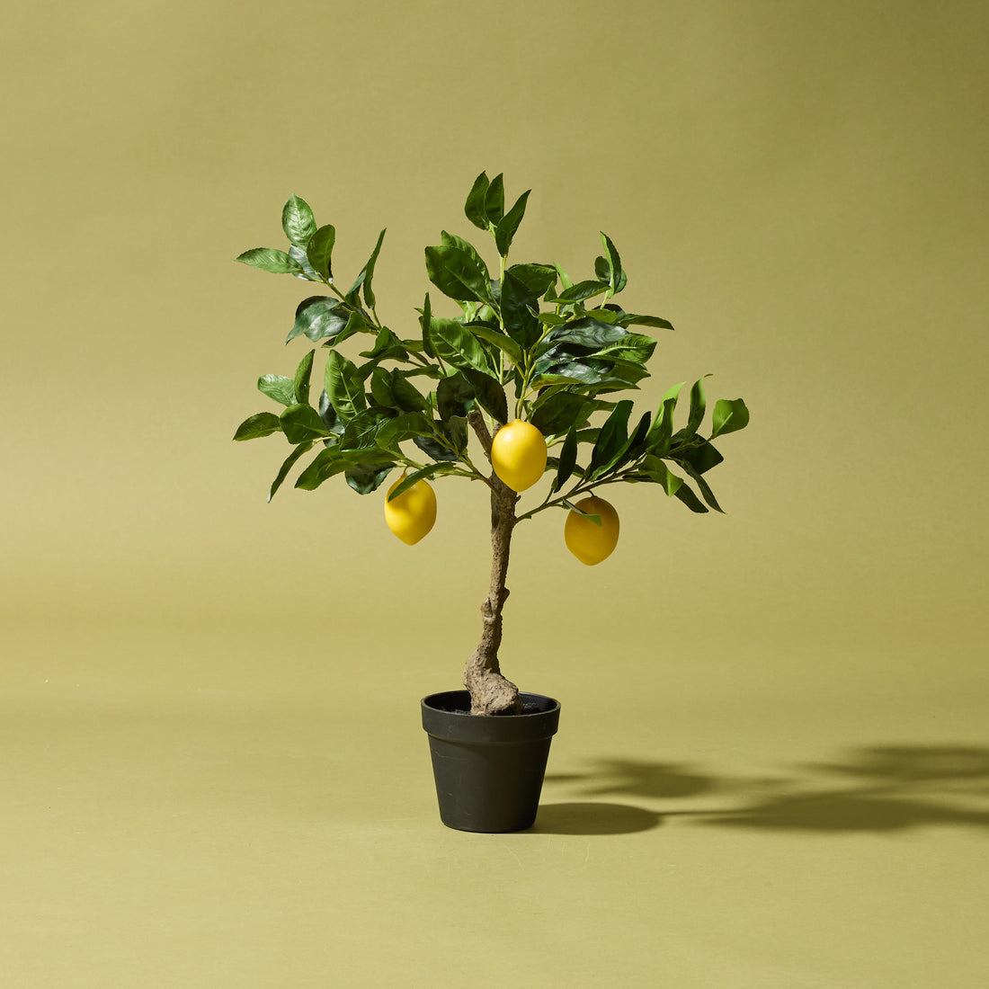 Faux Lemon Tree | 60cm