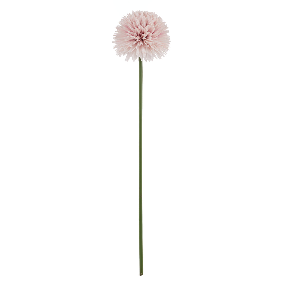 Rogue Kiku Stem Pink