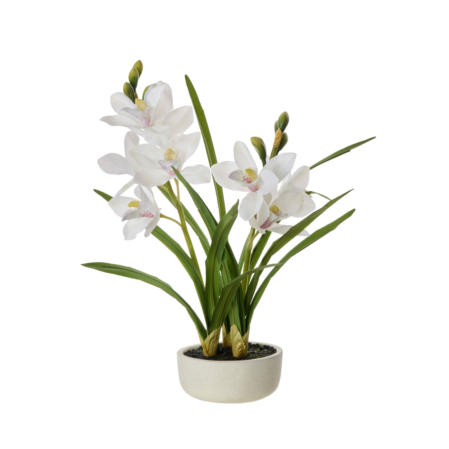 Faux Cymbidium Orchid Pot | White -  52cm