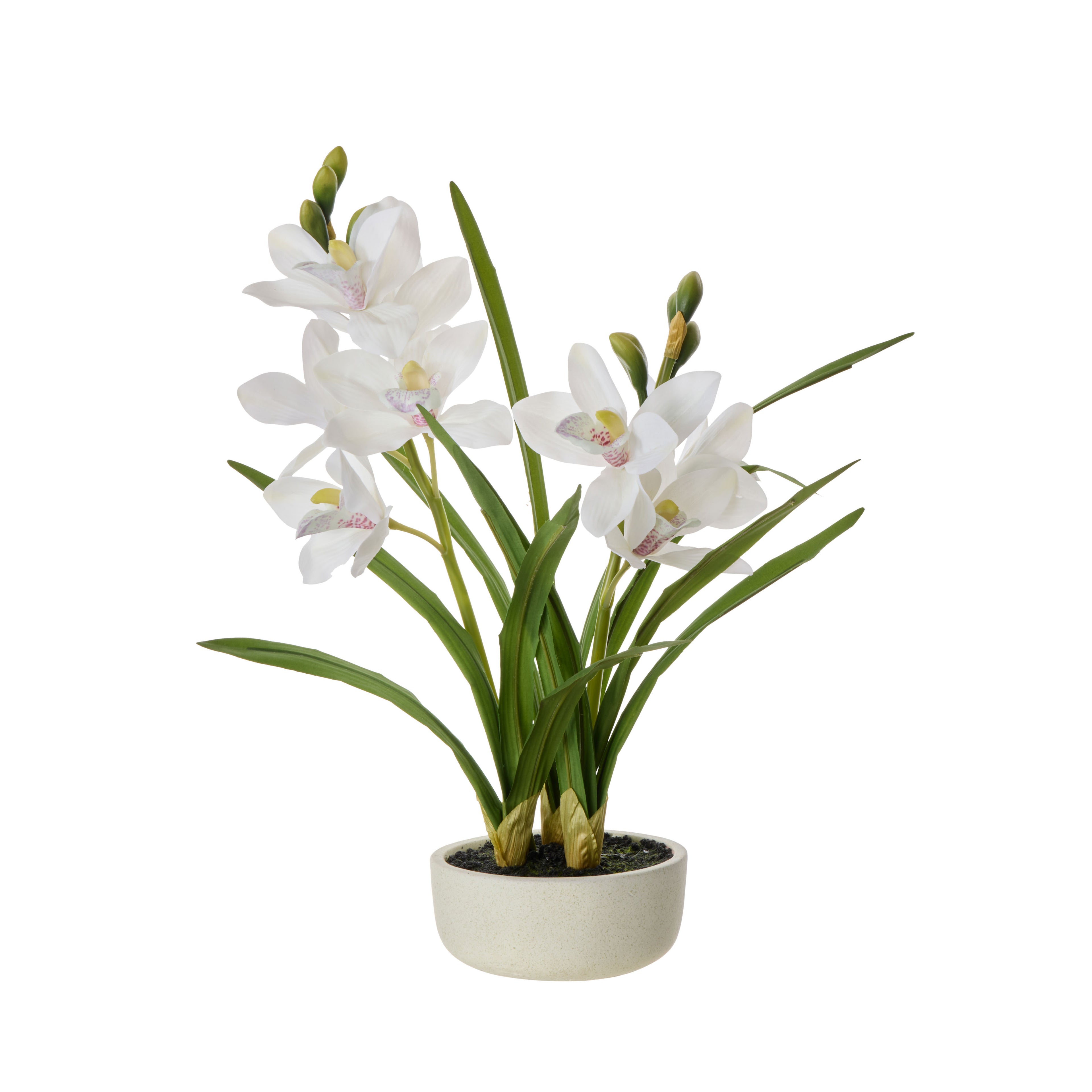 Faux Cymbidium Orchid Pot | White -  52cm