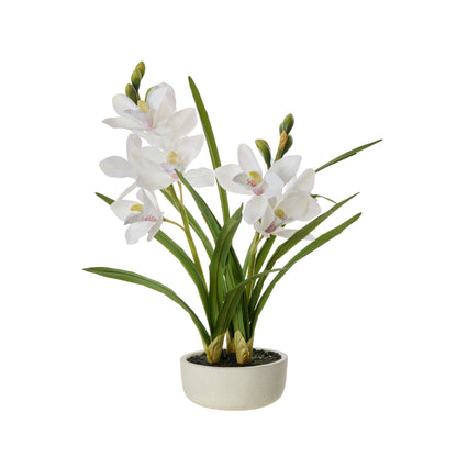 Faux Cymbidium Orchid Pot | White -  52cm
