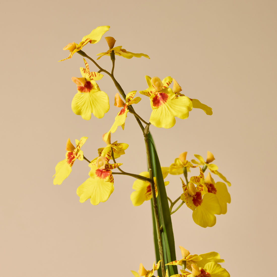 Faux Dancing Orchid Pot | Yellow - 58cm