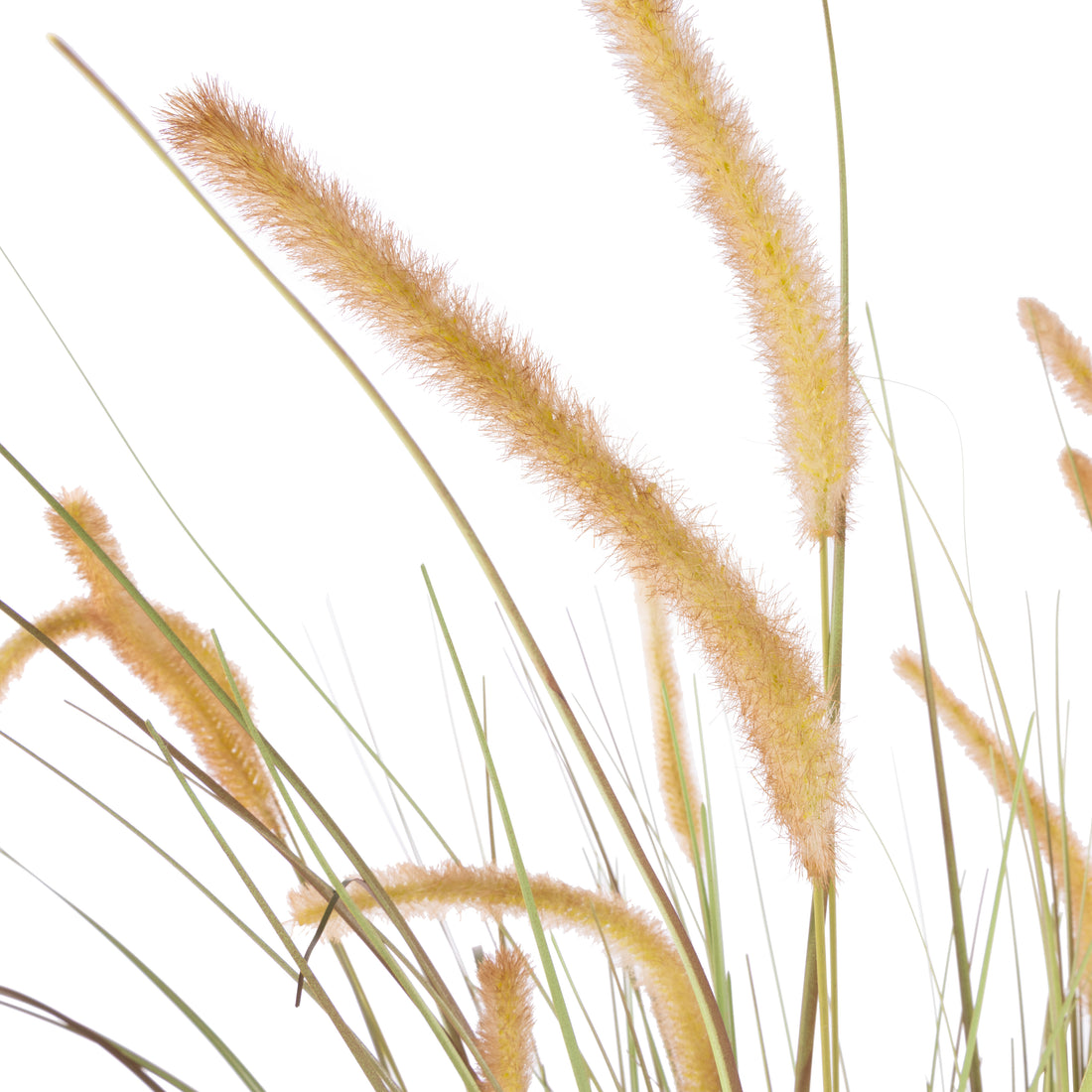 Faux Grass Plant - Trillium Planter | 170cm