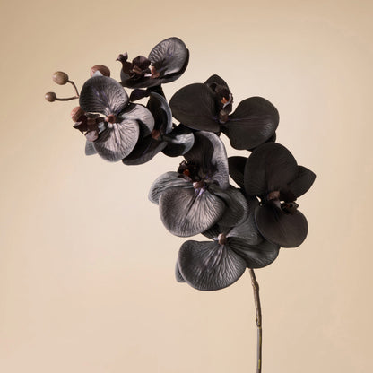 Faux Phalaenopsis Orchid Stem | Black - 72cm