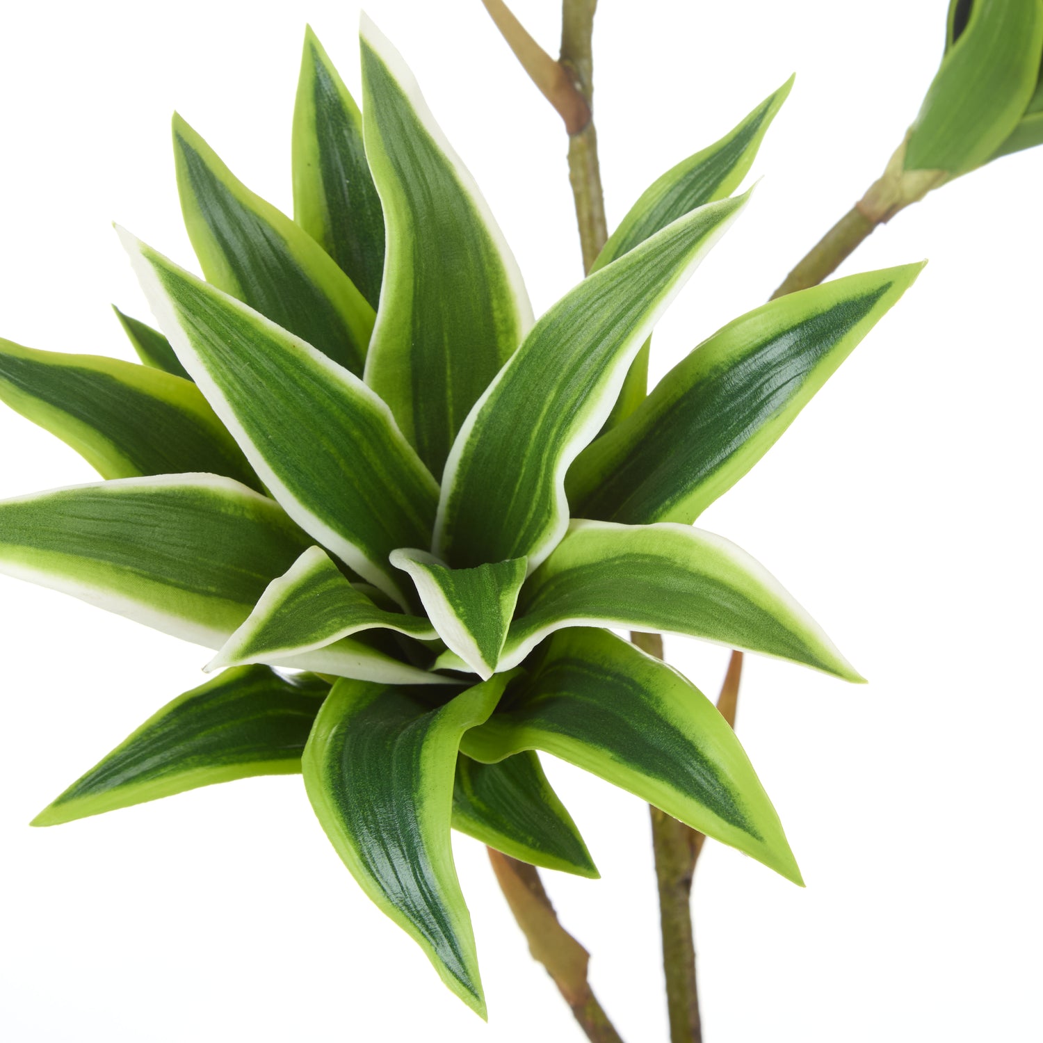 Faux Tradescantia Spray | Green - 81cm