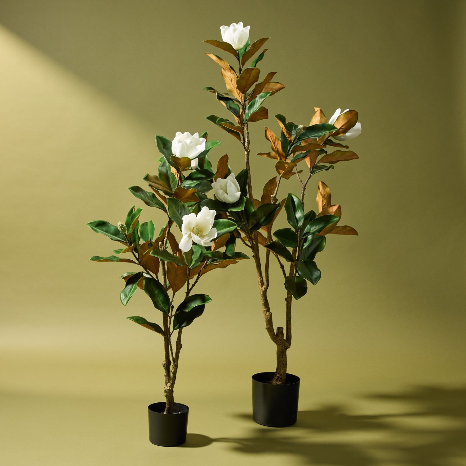 plant magnolia tree in pot Artificial Magnolia Tree | 158cm
