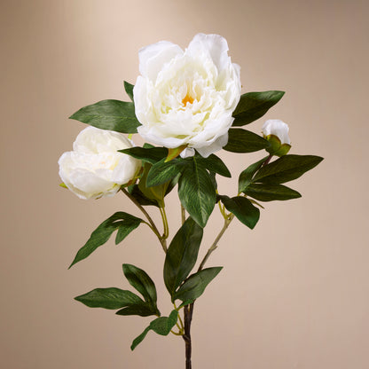 Faux Peony Stem | White - 71cm